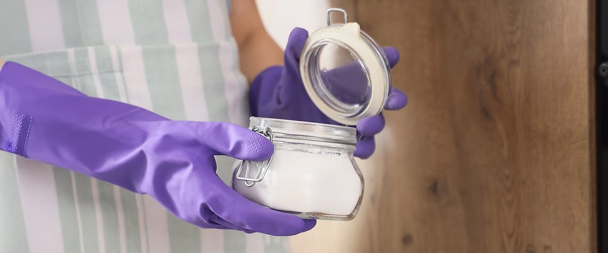 Person in lila Handschuhen hält ein offenes Glas mit weißem Pulver in der Hand