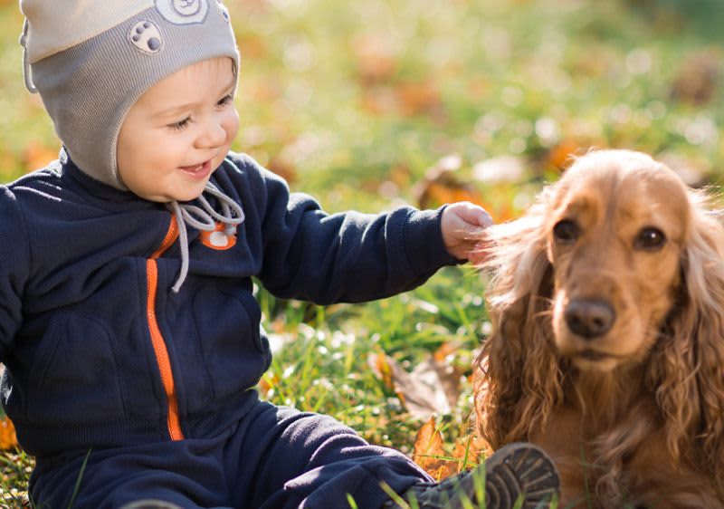 Kleinkind mit Hund