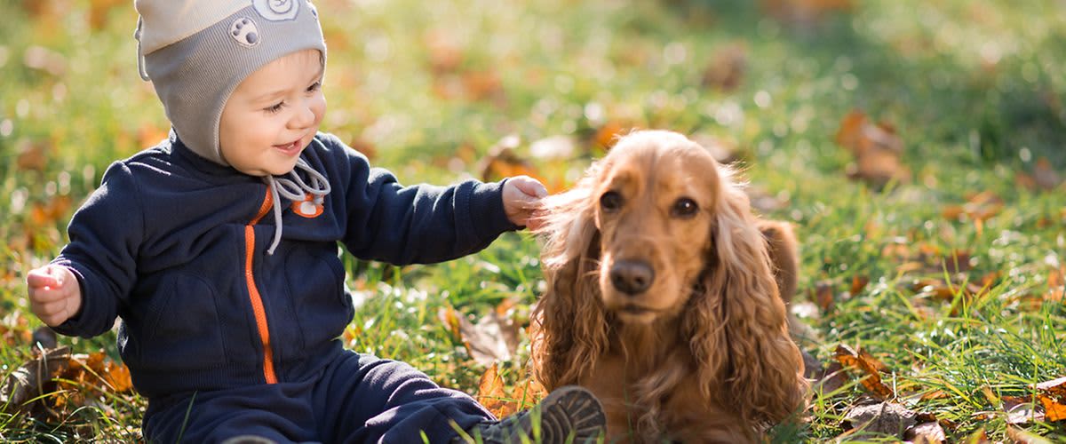 Kleinkind mit Hund