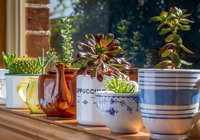 Upcycling Ideen