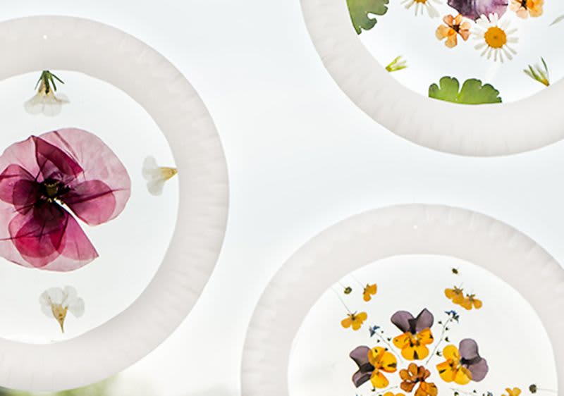 Mandalas an einem Fenster.