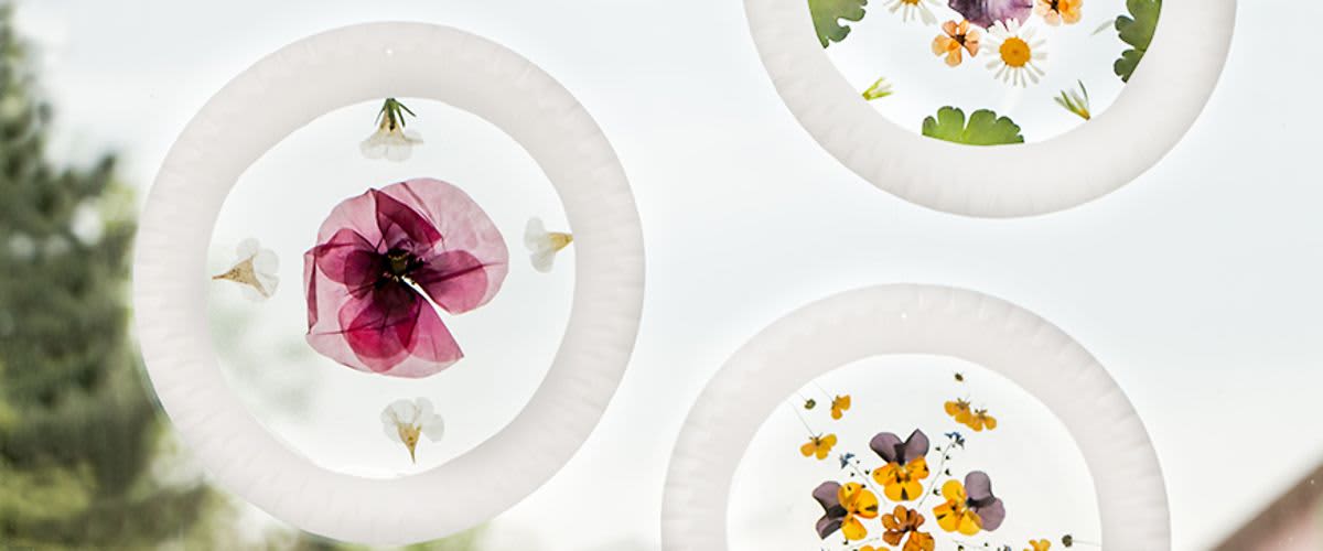 Mandalas an einem Fenster.