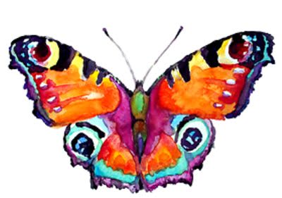 Schmetterling Bunt
