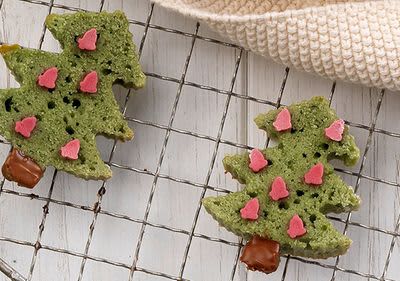 Wildkräuterpesto