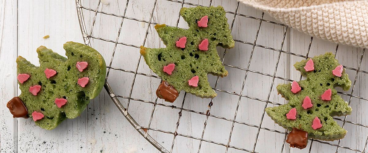 Wildkräuterpesto