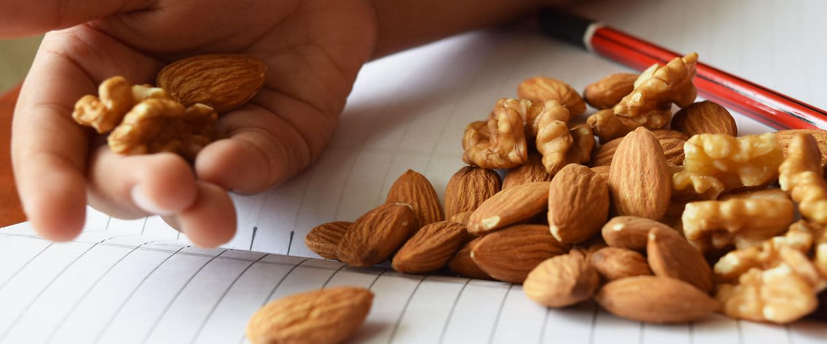 Hand auf Heft mit Nüssen