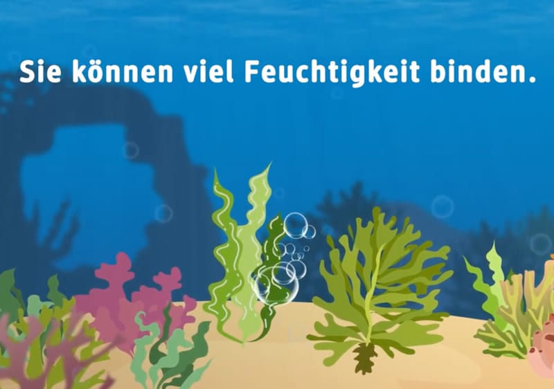 Video das kann Algenkosmetik