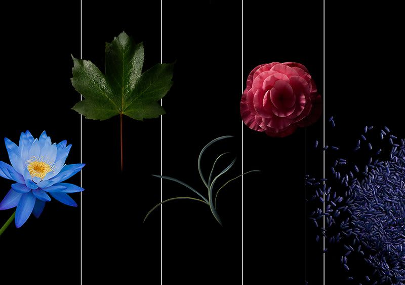 Syoss Moisture Inhaltsstoffe