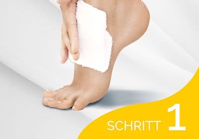 Scholl