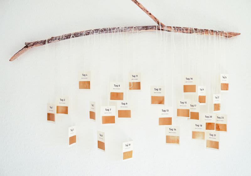 Komplimente Adventkalender auf Ast