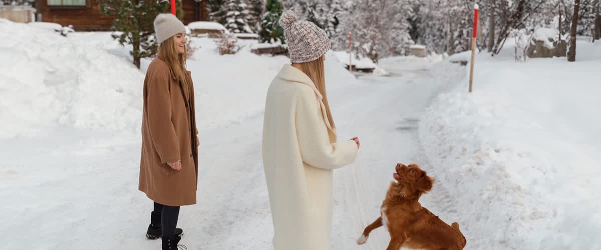 Frauen mit langen Haaren im Schnee 