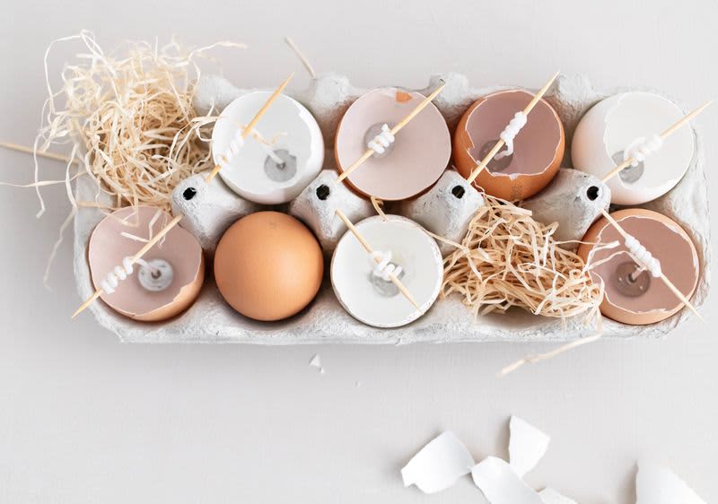 Eierschalen im Eierkarton