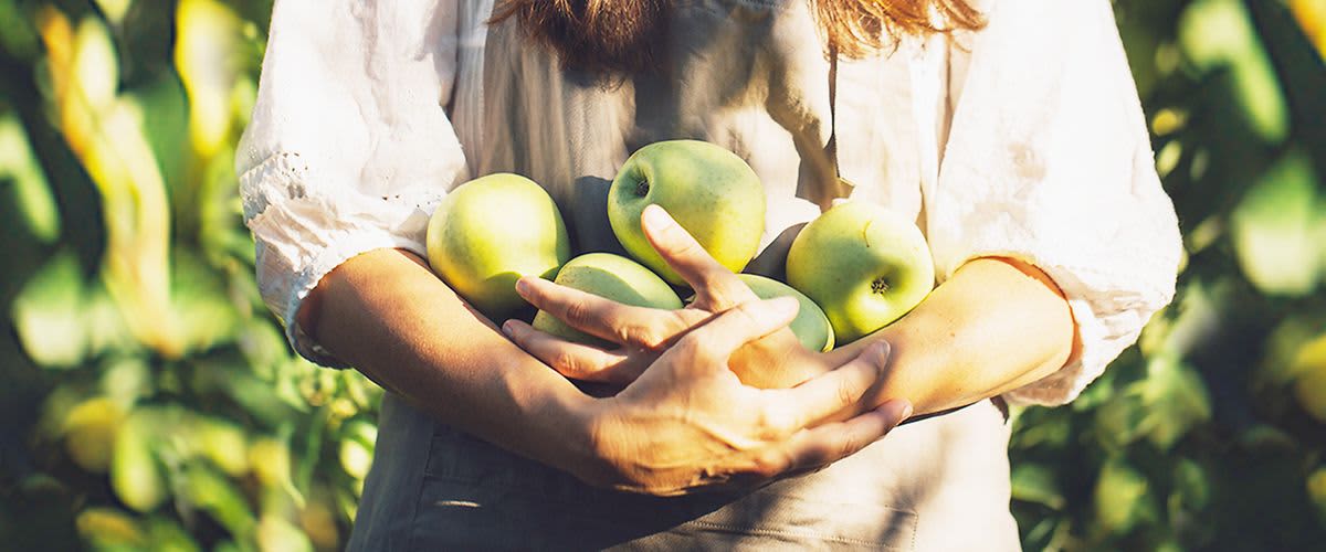 Frau, die in Armen Äpfel hält