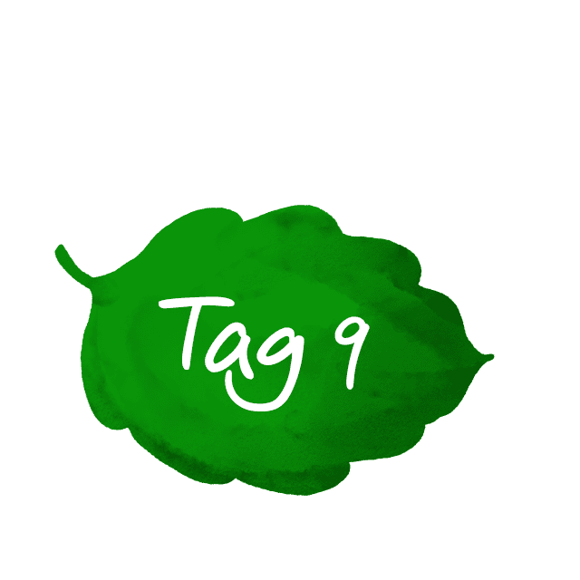 Tag