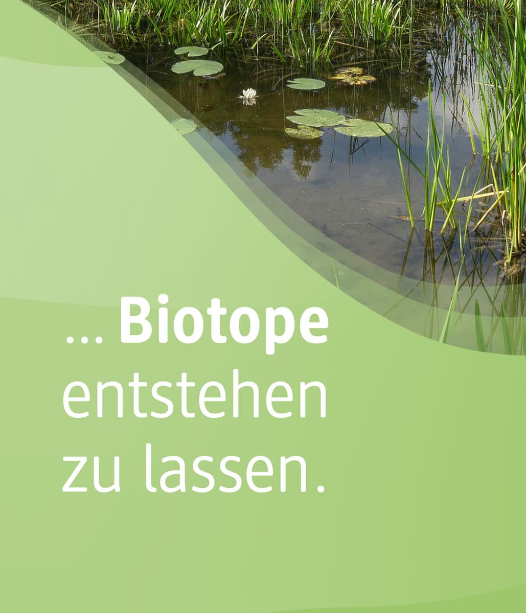 Du kannst unterstützen, Biotope entstehen zu lassen. 