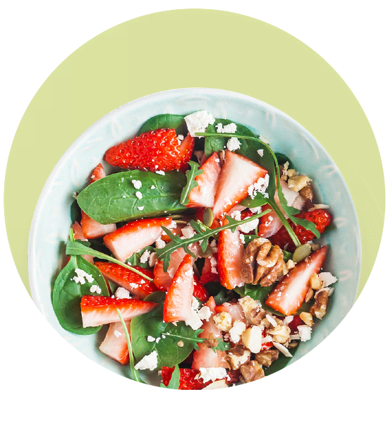 Neuheiten Ernährung