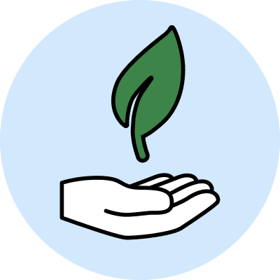 Hand hält grünes Blatt