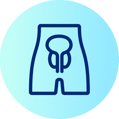 Eine blaue Illustration zeigt ein stilisiertes männliches Urogenitalsystem auf einem hellblauen Hintergrund