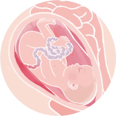 Schwangerschaftswoche 28