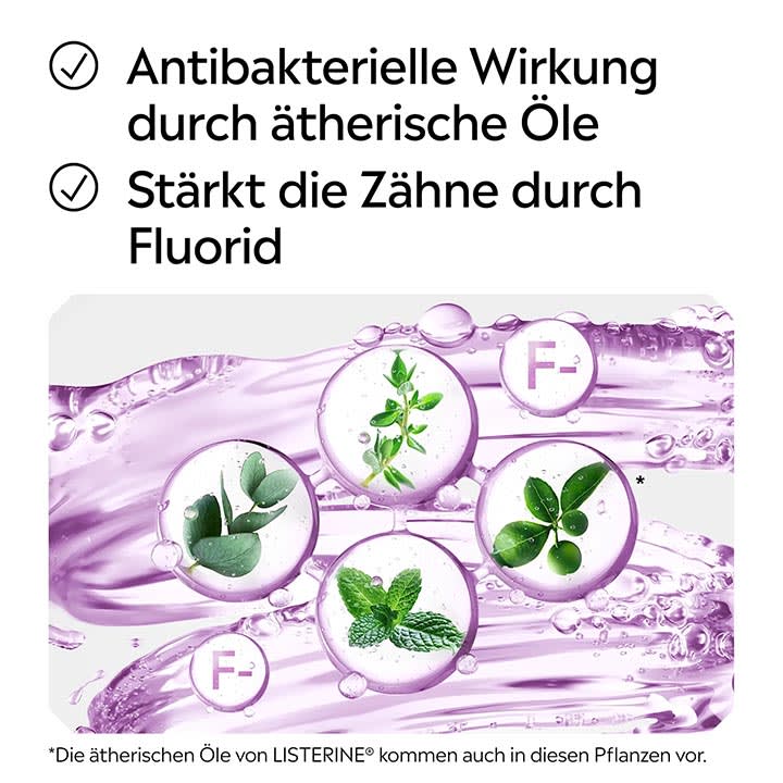 Ausschnitt einer Produktverpackung mit lila Flüssigkeit im Hintergrund und fünf kreisrunden Blasen, darin abgebildete grüne Pflanzenblätter (Eukalyptus, Pfefferminze und weitere Blätter) sowie Textausschnitte oben „Stärkt die Zähne durch Fluorid“