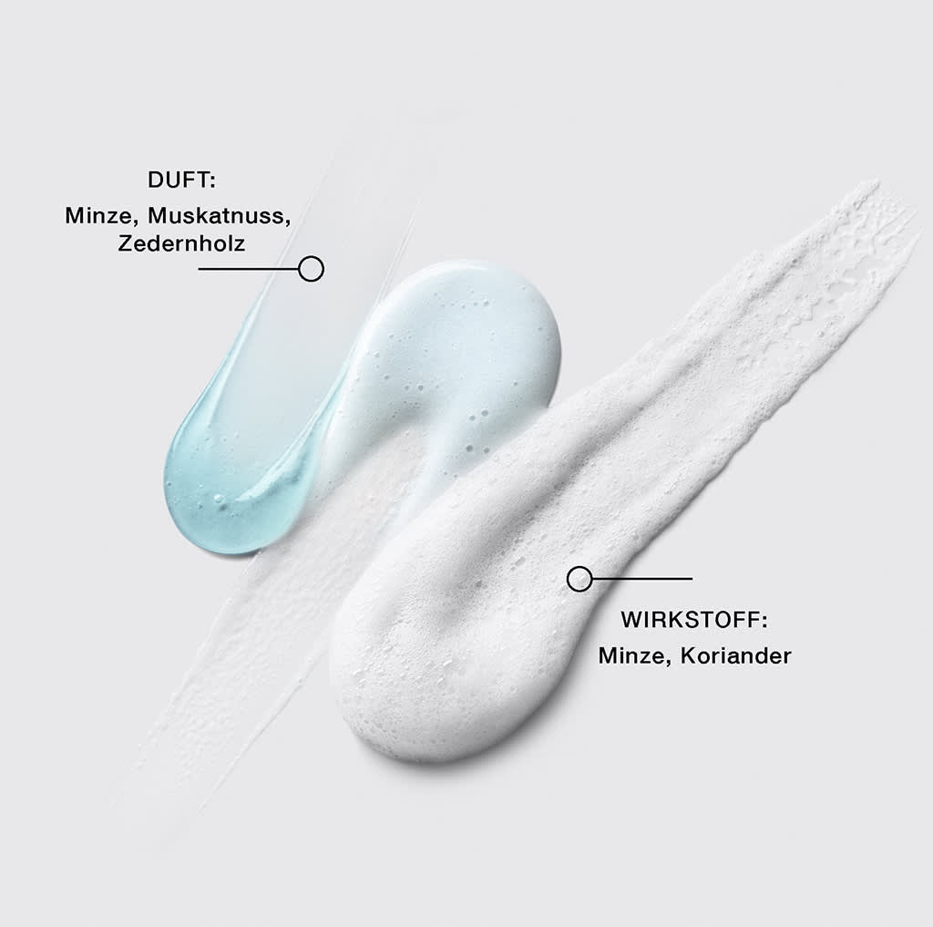 zwei Produktcreme-Spuren nebeneinander, links hellblau mit Beschriftung „DUFT: Minze, Muskatnuss, Zedernholz“, rechts weiß-schaumig mit Beschriftung „WIRKSTOFF: Minze, Koriander“
