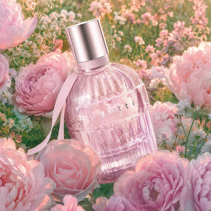 Rundes durchsichtiges rosafarbenes Parfümflakon mit silberner Kappe und Schriftzug „bugatti“ liegend zwischen rosafarbenen Rosen und kleinen weißen Blüten. Bild mithilfe von KI erstellt