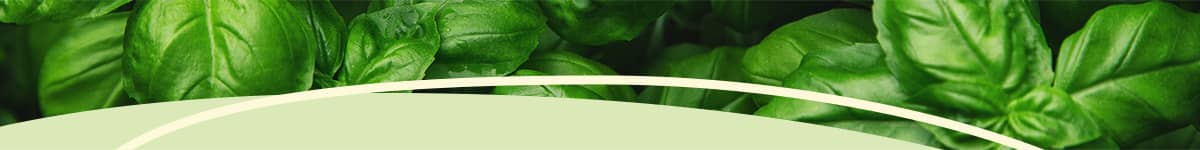 Vegane Rezepte von dm