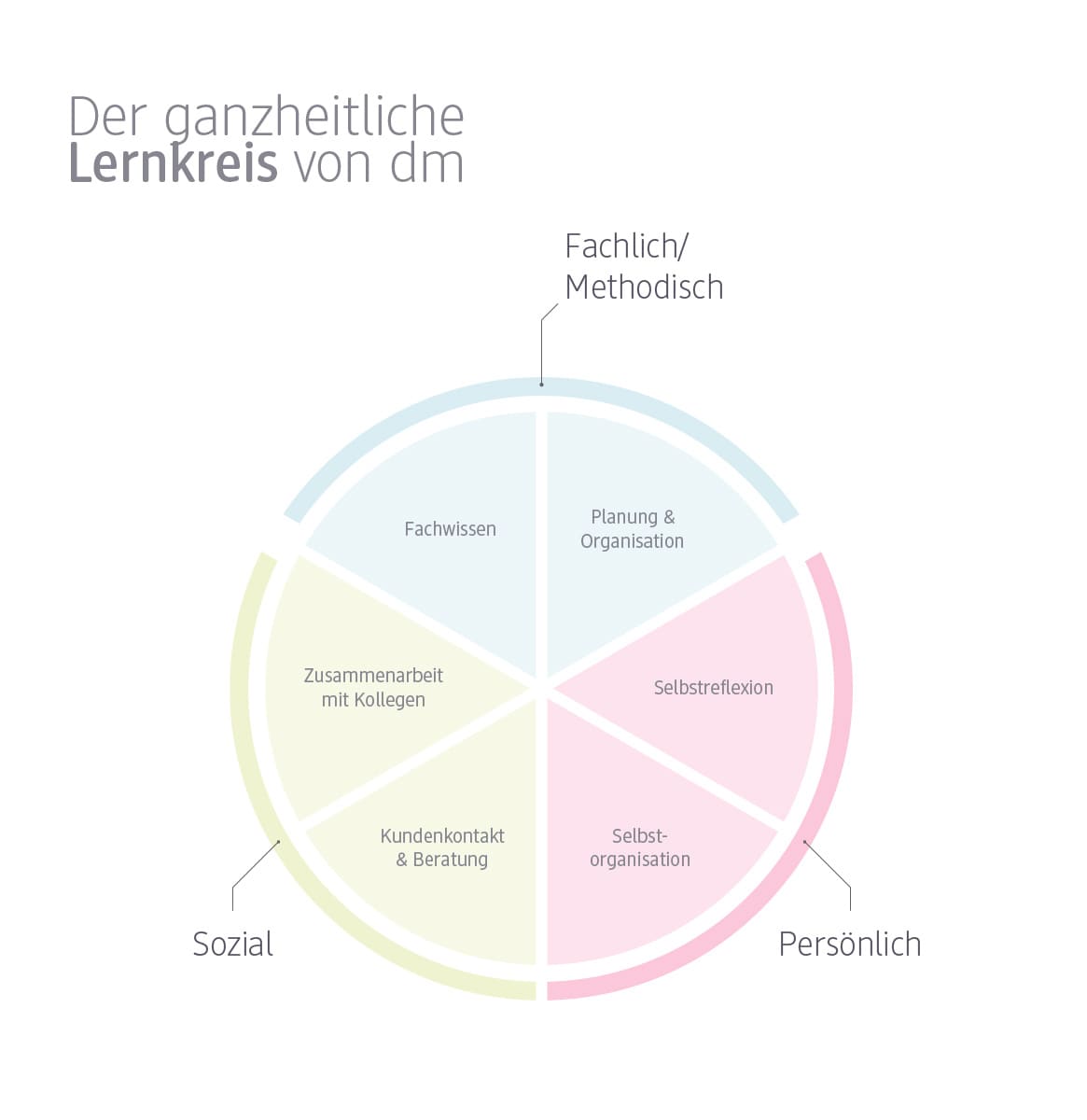 Eine kreisförmige Grafik zeigt ein Diagramm, das in vier gleich große Segmente unterteilt ist, die jeweils mit unterschiedlichen Farben und Kategorien beschriftet sind: Fachlich/Methodisch mit Fachwissen und Planung & Organisation, Sozial mit Zusammenarbeit mit Kollegen und Kundenkontakt & Beratung, Persönlich mit Selbstreflexion und Selbstorganisation