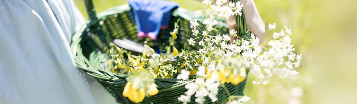 Blumenkorb