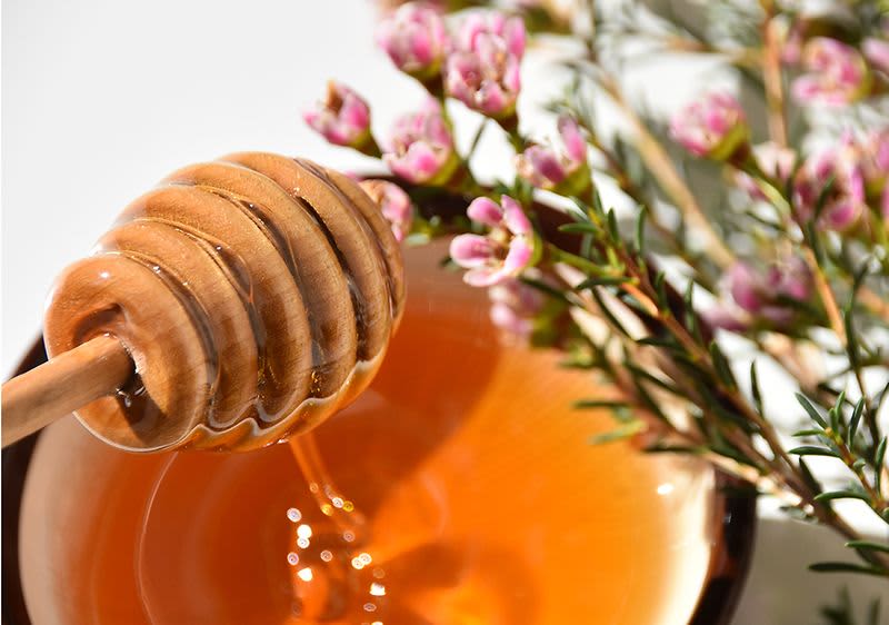 Manuka Honig