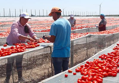 dmBio Genussreise Italien