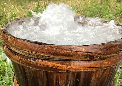 dmBio Genussreise Asien