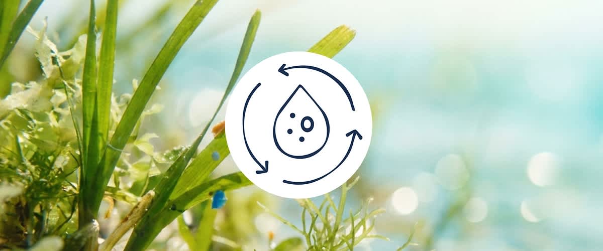 Grafisches Symbol eines Wassertropfens mit Punkten, umgeben von drei kreisförmigen Pfeilen auf weißem Kreis vor unscharfem Naturhintergrund. Bild mithilfe von KI erstellt