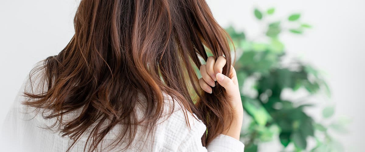 Haarbruch vermeiden mit Pflegetipps von dm