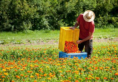 Die Weleda-Welt kann man auf Yotube entdecken.