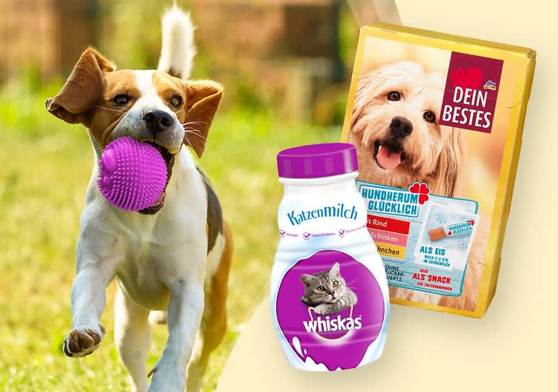 Hund spielt mit Ball, Produkte von whiskas und Dein Bestes