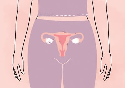 Gebärmutter Schaubild