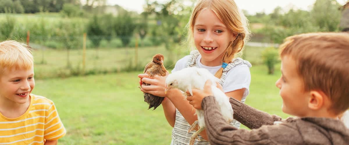 Kindergeburtstag Bauernhof