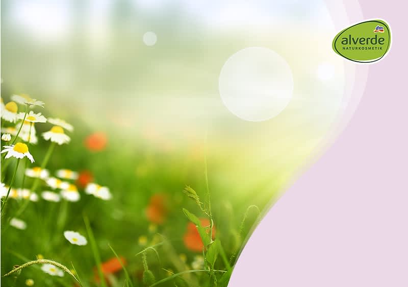 Verantwortung übernehmen