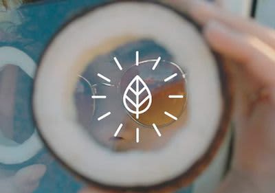 Garnier Fructis Hair Food ist vegan und frei von Silikonen.