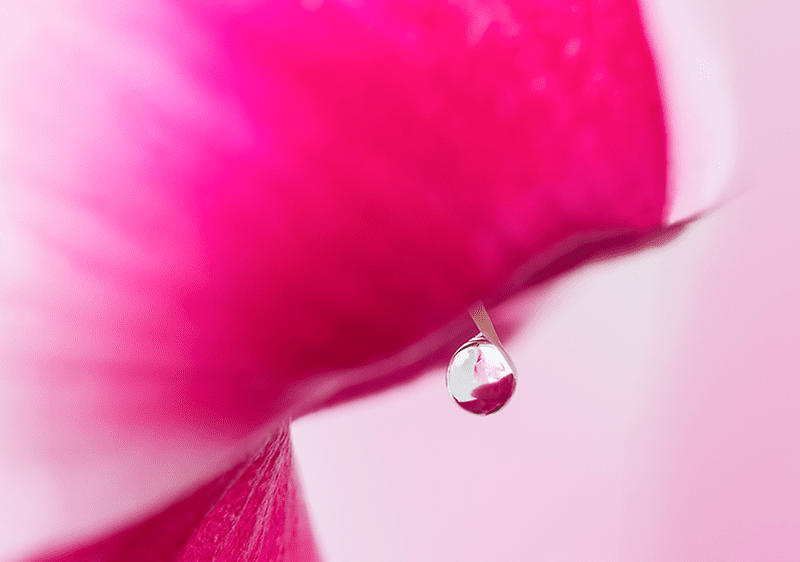 Inkontinenz Aufmacher