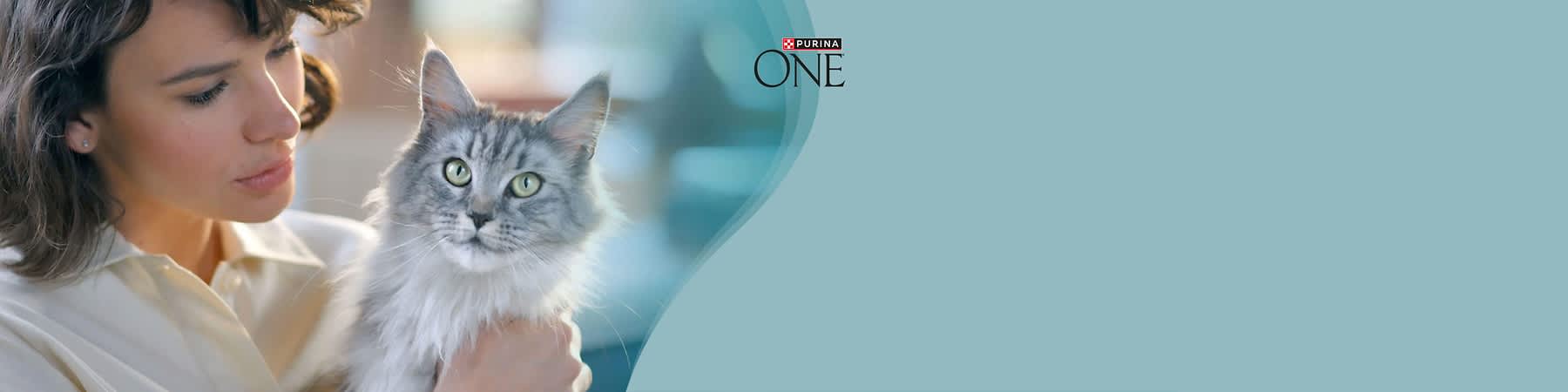 Frau hält eine grau-weiße Langhaarkatze im Arm, oben rechts Logo „Purina ONE“