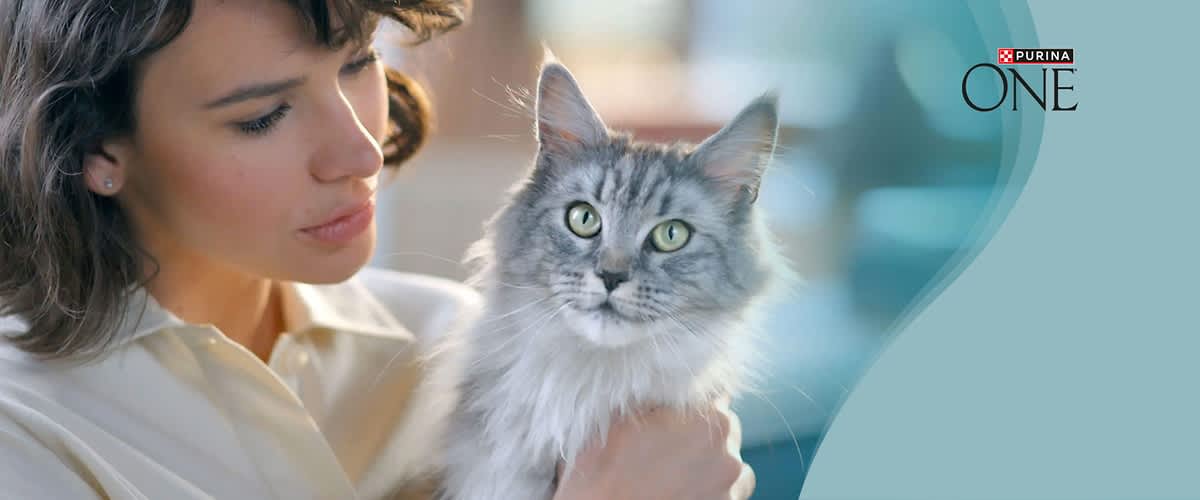 Frau hält eine grau-weiße Langhaarkatze im Arm, oben rechts Logo „Purina ONE“