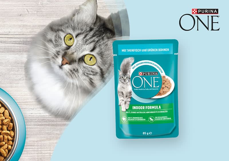 Purina ONE Katzenfutterbeutel „Indoor Formula“ mit Thunfisch und grünen Bohnen, daneben eine graue Katze mit gelben Augen und eine Schale Kroketten auf hellem Untergrund