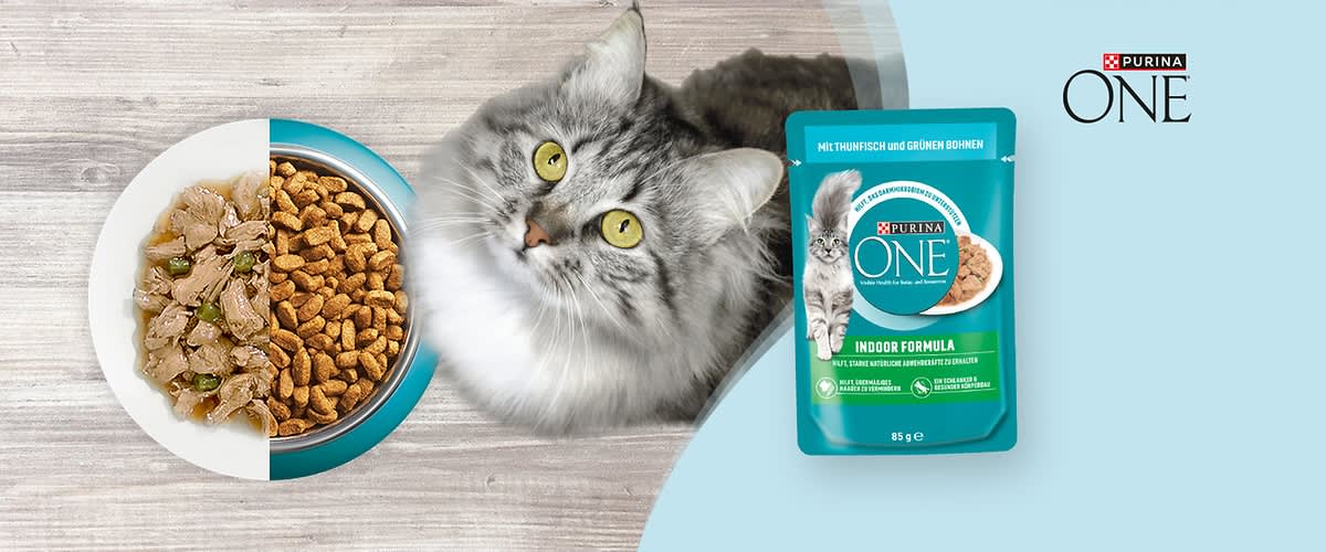 Purina ONE Katzenfutterbeutel „Indoor Formula“ mit Thunfisch und grünen Bohnen, daneben eine graue Katze mit gelben Augen und eine Schale Kroketten auf hellem Untergrund