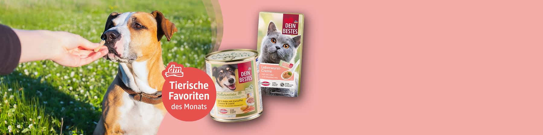 Ein braun-weißes Hundekopf-Porträt links, daneben Produktverpackungen: oben ein langes Snack-Stäbchen mit Aufschrift „8in1 Super Meaty“, rechts ein lila Beutel „whiskas Superfoods“ mit Katzenbild; roter Kreis mit weißem dm-Logo und Text „Tierische Favoriten des Monats”