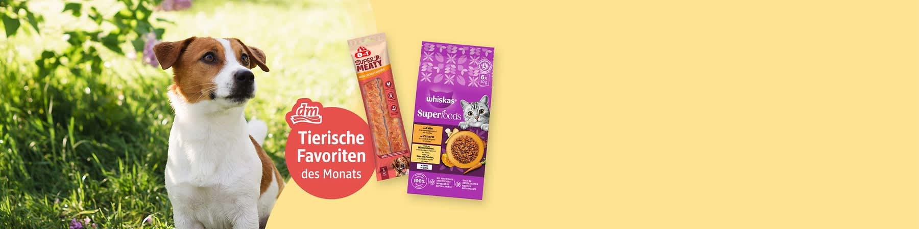 Ein braun-weißes Hundekopf-Porträt links, daneben Produktverpackungen: oben ein langes Snack-Stäbchen mit Aufschrift „8in1 Super Meaty“, rechts ein lila Beutel „whiskas Superfoods“ mit Katzenbild; roter Kreis mit weißem dm-Logo und Text „Tierische Favoriten des Monats”. Bild mithilfe von KI erstellt