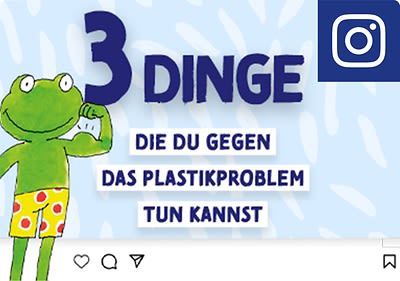 Folge Frosch auf Instagram