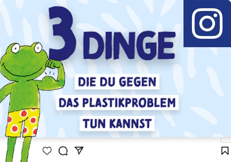 Folge Frosch auf Instagram