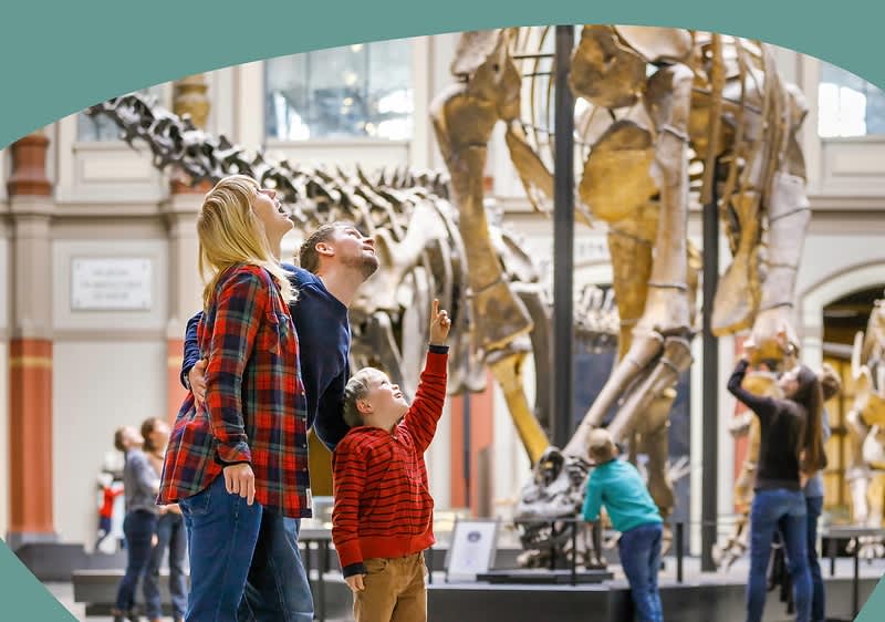 Familie schaut sich ein Skelett an im Naturkundemuseum